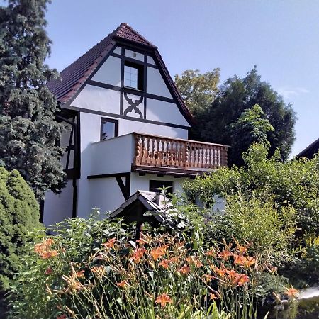 Pusteblume Apartamento Groitzsch Exterior foto