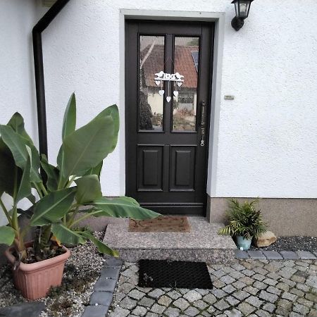 Pusteblume Apartamento Groitzsch Exterior foto
