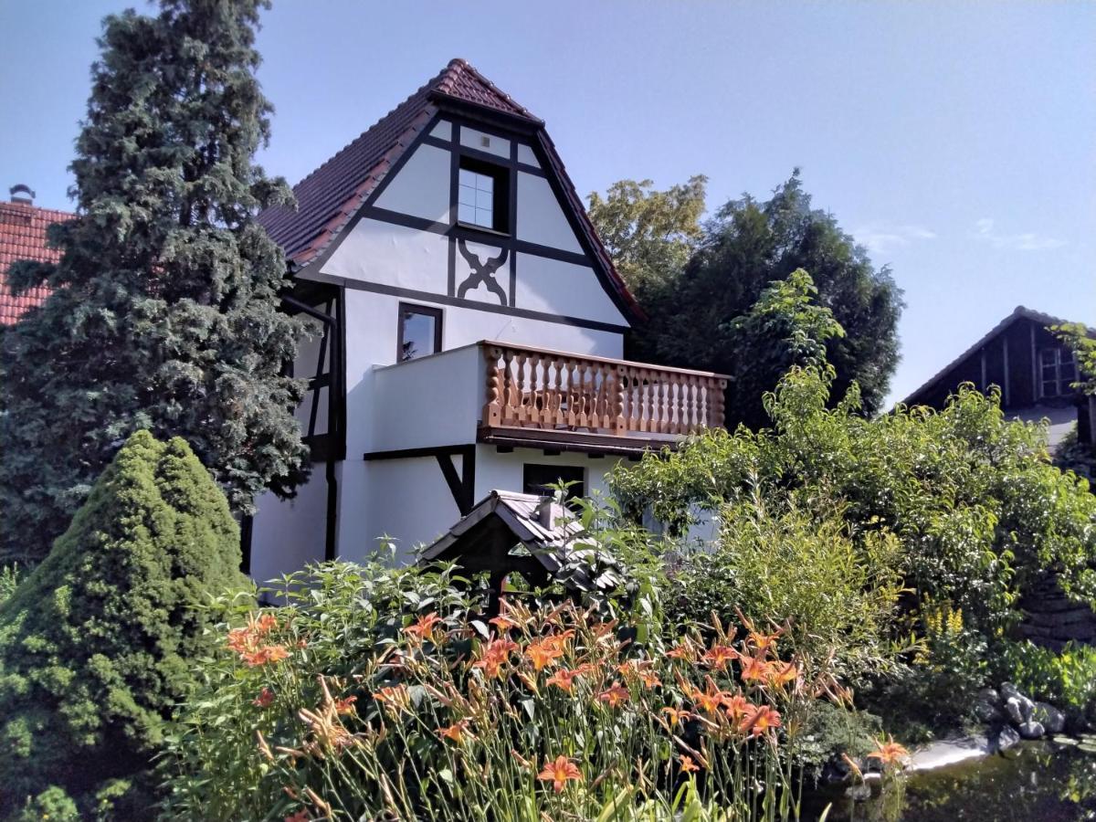 Pusteblume Apartamento Groitzsch Exterior foto